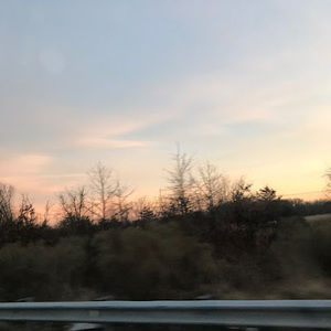 Meet your Posher, Ally